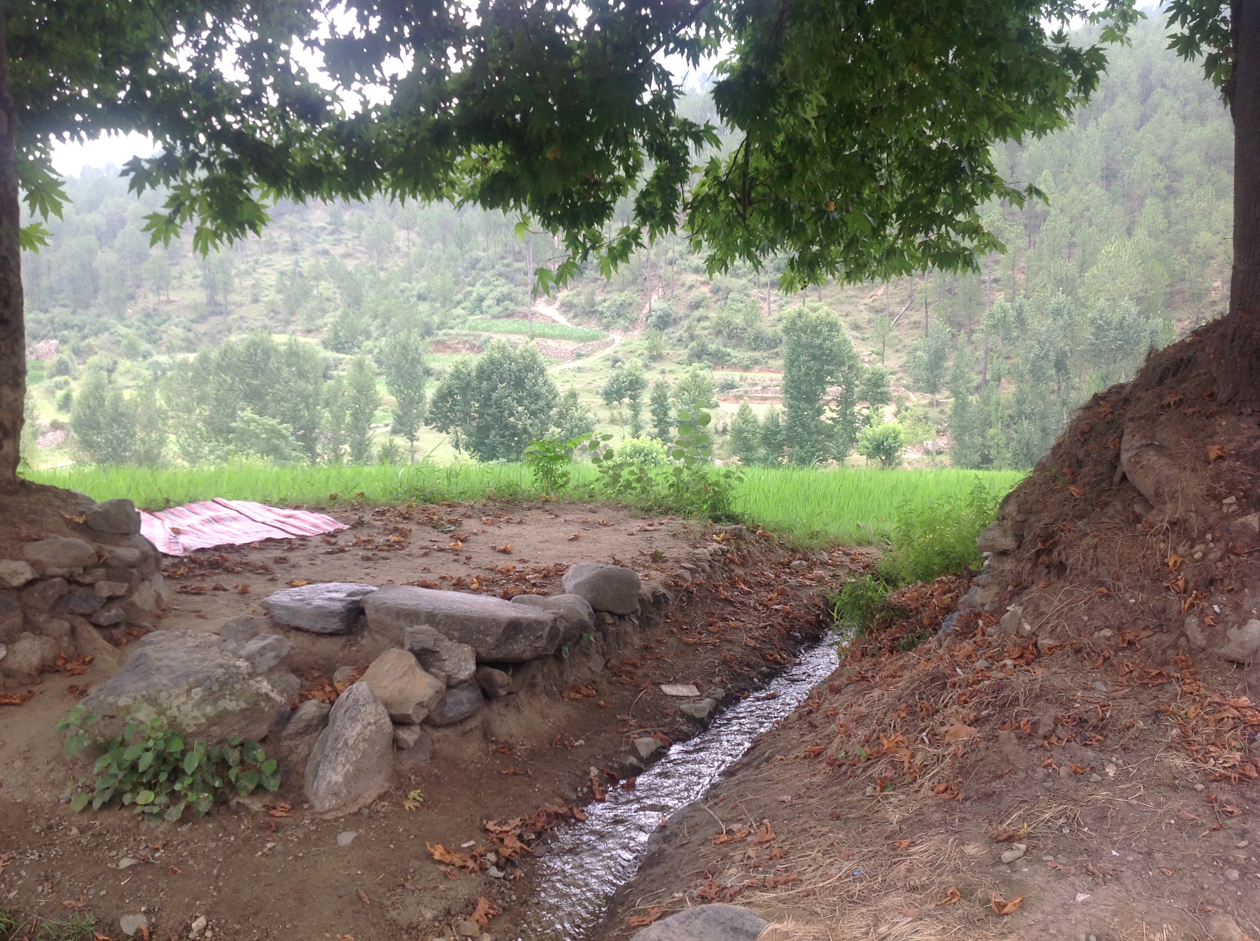 Stone and brick dwellings in Naryab